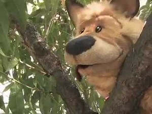 Mundo Simi - Oso Noticioso 17/03/12 Azteca 13