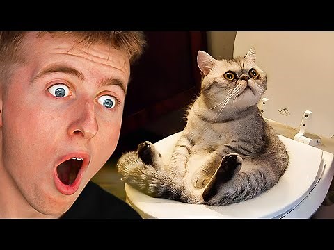 EXTREME Try Not to Laugh Challenge!