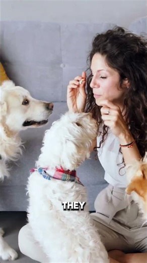 Why Your Dog KICKS UP GRASS after pooping! It's NOT to cover it 🤫 #dogbehavior #dogfacts