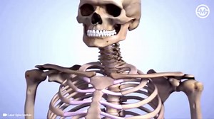 14K views · 442 reactions | How is Cervical Artificial Disc Replacement Surgery Performed? | SurgMedia | Facebook