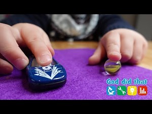 Motion science Bible lesson for kids STEM - God Did That