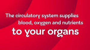 British Heart Foundation: Understanding blood clots
