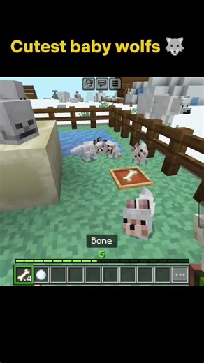 Minecraft cute baby wolfs 🐺