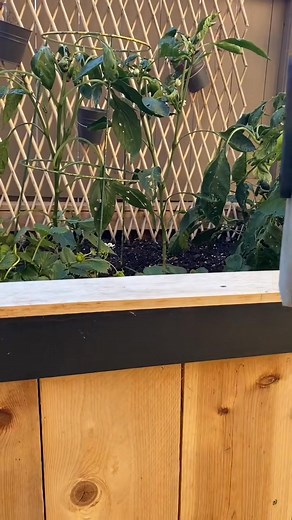 Baby boom box amplifier. . #BakingSzn #giftidea #JingleJangleWithMe | Shesthecarpenter