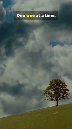 A World Without Trees 🌲❌: Can We Survive?