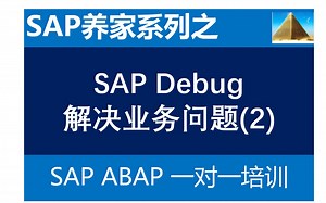 SAP Debug解决业务问题2 SAP ABAP 一对一培训 SAP FICO SAP MM SAP ABAP SAP S4 HANA