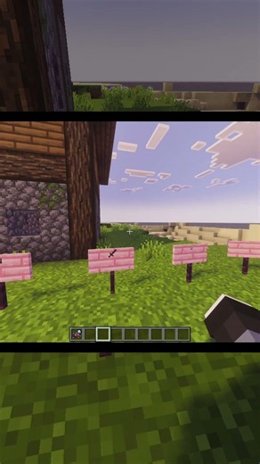 Minecraft Secret Commands Nobody Knows! 🧐 #minecraft #shorts