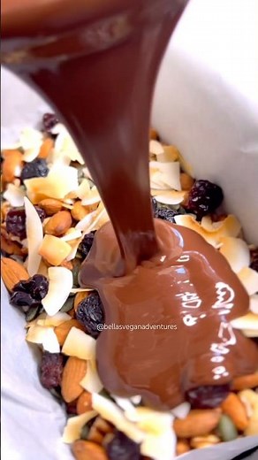 Coconut, nut and seed chocolate slice #dairyfree #vegan #veganrecipe
