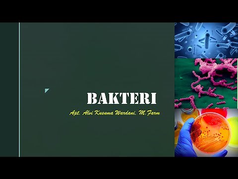 Bacteria (Part 1) | Microbiology Lecture