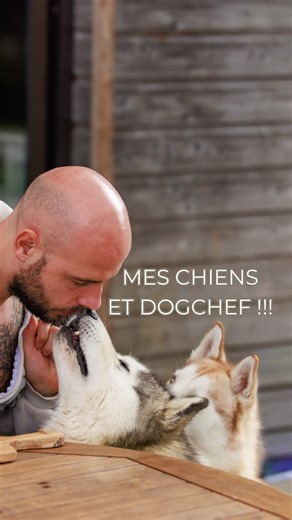 Thibault Laurent on Instagram: "Quand tu as 3 chiens, t’as deux options : 1. devenir chef étoilé à plein temps 2. trouver un plan qui tient dans la vraie vie 😅 Nous, on a choisi @dogchef_fr : des repas frais, des rations personnalisées (selon poids/âge/activité), une transition alimentaire guidée… et surtout une organisation simple : frigo ➝ gamelle ➝ chiens heureux ✅ Et le meilleur ? Tu peux tester avec -30% 🎁 👉 Code promo : SORA30 💥 30% de réduction sur la boîte Dog Chef Si tu veux du frai
