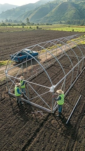 How to build a greenhouse correctly
