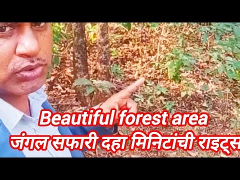 #जंगल सफारी ब्लॉक 10 मिनिट#हे ब्लॉक आपको कैसा लगा कमेंट करके बताये#bhakan#nature#sport#adventure#