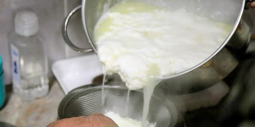 Why pule donkey cheese is the most expensive cheese in the world