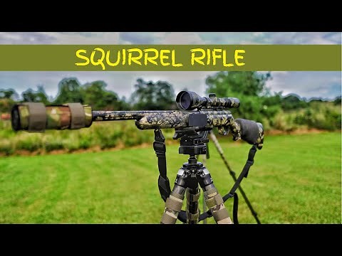 22 Rifle Shooting at 100 Yards and Sighting in for Squirrel Hunting - Suppressed 22 Rifle