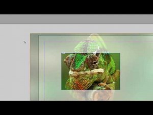 mise en page Adobe InDesign 2016 - partie 06 - bachelor européen - Thierry Dambermont