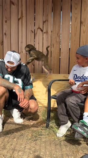 We had a birthday party here at the zoo and the kids got to go inside and play with our baby baboon! Needless to say this is a birthday party I think all of the kids will remember for a very long time. Visit www.texaswildlifepark.com or call us at 830-928-9353 to reserve your tour. Please remember, we are by appointment only, so be sure to book in advance. We do not offer refunds for cancellations. Tours may be rescheduled at no additional cost if arranged at least 48 hours before your scheduled