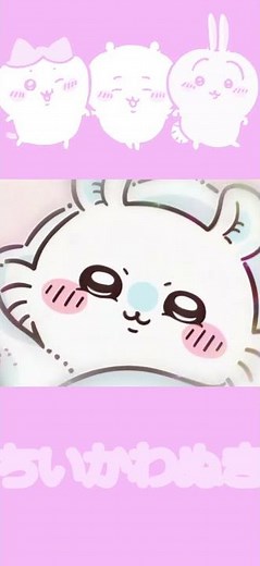 【ちいかわ】包んでほしいモモンガが可愛い #shorts #ちいかわ #ハチワレ #モモンガ #切り抜き