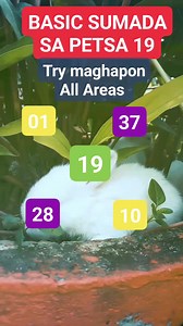 Basic sumada sa petsa 19, subukan maghapon sa lahat ng LUGAR, good luck everyone 🙏🙏🥰 #PleasefollowlikeandShare #AnjoNac #stlallnation #stlsumada #2dez2 #GoodLuckEveryone | AnjO-Nac