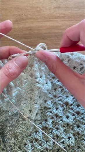 Aperçu de mon prochain châle au crochet 🤍