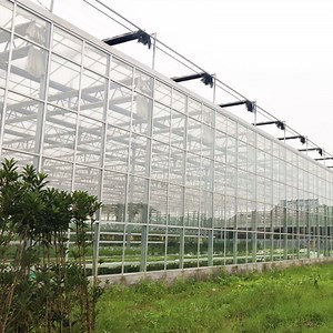 [Hot Item] Glass Greenhouse with Hydroponics/Cooling/Ventilation System for Gardening