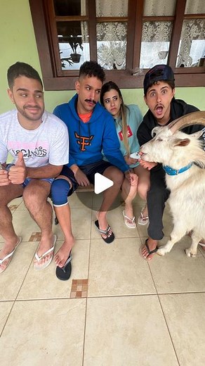 Lucas Oliveira on Instagram: "Pode confiar que ele só vai fazer carinho kkkkkkkk"