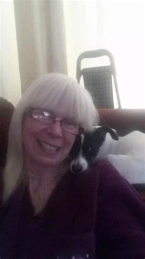 wackyjacky3 (@wackyjacky3)’s videos with original sound - thequotecircle