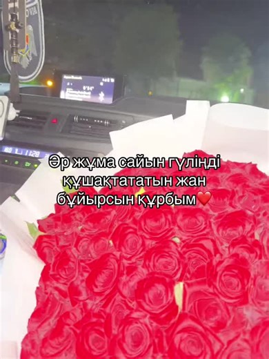 Stunning Red Roses Bouquet Inside a Car at Night