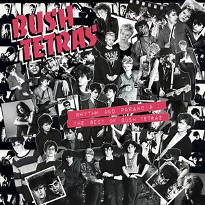 Bush Tetras - Rhythm and Paranoia: The Best of Bush Tetras
