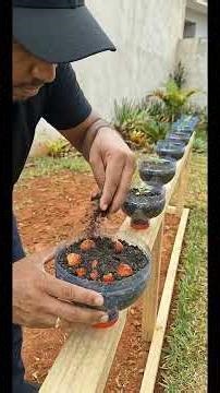 How to propagate strawberries today #plants #strawberry #viral