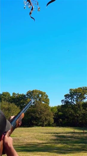 Sporting Clays with a Blaser F3. #clayshooting #nsca #shotgunsports #sportingclays