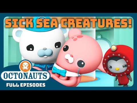 ‪@Octonauts‬ - 🏥 Healing Sick Sea Creatures 🐋 | 90 Mins+ Full Episodes Marathon