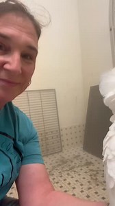 5.7K views · 237 reactions | ADOPTED! Lenny is an umbrella cockatoo...