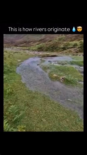 How PAGE? on Instagram: "Most rivers don’t begin as a roaring flow — they start as a single spring. Deep underground, rainwater slowly seeps through soil and rock until it collects in hidden reservoirs called aquifers. When pressure builds, that water finds a crack or opening in the earth’s surface and bursts out as a natural spring. At first, it’s just a small trickle — crystal clear and bubbling. But as it flows downhill, it joins with other springs, snowmelt, and rainfall to form streams. The