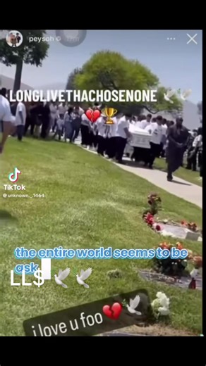 Hahaha (@moneysign46)’s video of counting money for fun