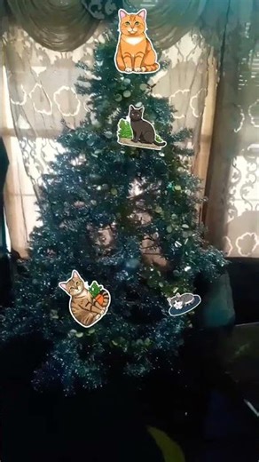 type the correct number in the comments