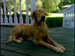 Ultimate Goosebumps Intro/Theme