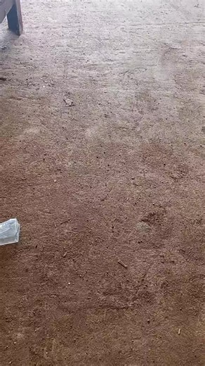 Gilbert Jonathan (@gilbertjonathan93)’s videos with I go make am - THAT ABUJA GUY🦅❤️🥷🏻⚔️