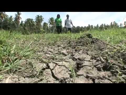 Philippines: Changing Climate Changing Lives