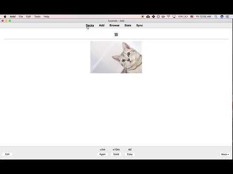 Anki Tutorial: How to Change the Default Font Size