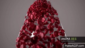 3d animated blood flow - Windkessel effect on Make a GIF