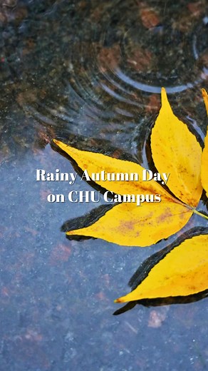 1.6K views · 28 reactions | ️ Raindrops fall gently on maple leaves and ripple across the lake, where 廉 swans play freely in the misty rain. The drizzle blurs the distance, turning CHU into a living ink painting — soft, poetic, and full of autumn’s calm. ✨ #ChanganUniversity #AutumnVibes #RainyCampus #CHUCampus #长安大学 | Chang’an University-IES | Facebook