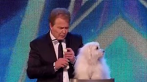 America's Got Talent-Talking Dog!!
