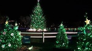 Biden lights National Christmas Tree for final time