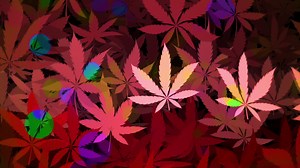 Download Trippy psychedelic cannabis leaf background animation. Full HD and looping motion background. for free