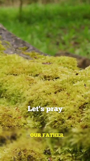 Holy Lyrics on TikTok