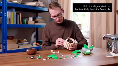 LEGO Botanicals Peace Lily Flower Building Set for Adults - Gifts for Mothers Day - DIY Bedroom, Book Shelf & Office Decor for Women & Men, Ages 18+ - Artificial Flowers Crafting Kit - 11504