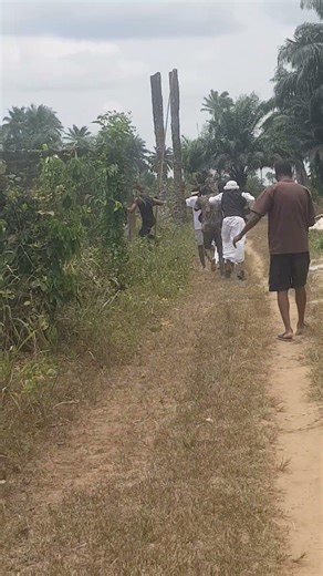 captured by cc camera