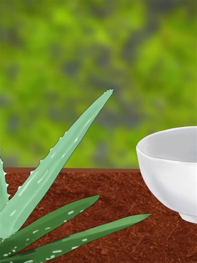 Exploring the Benefits of ASMR for Health