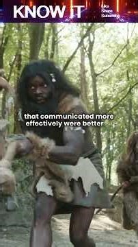 How Was Language Formed?