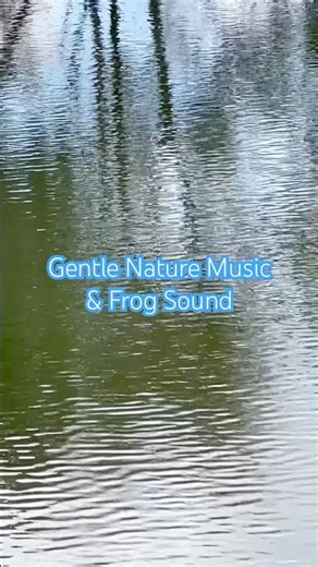Gentle nature music & Frog sound